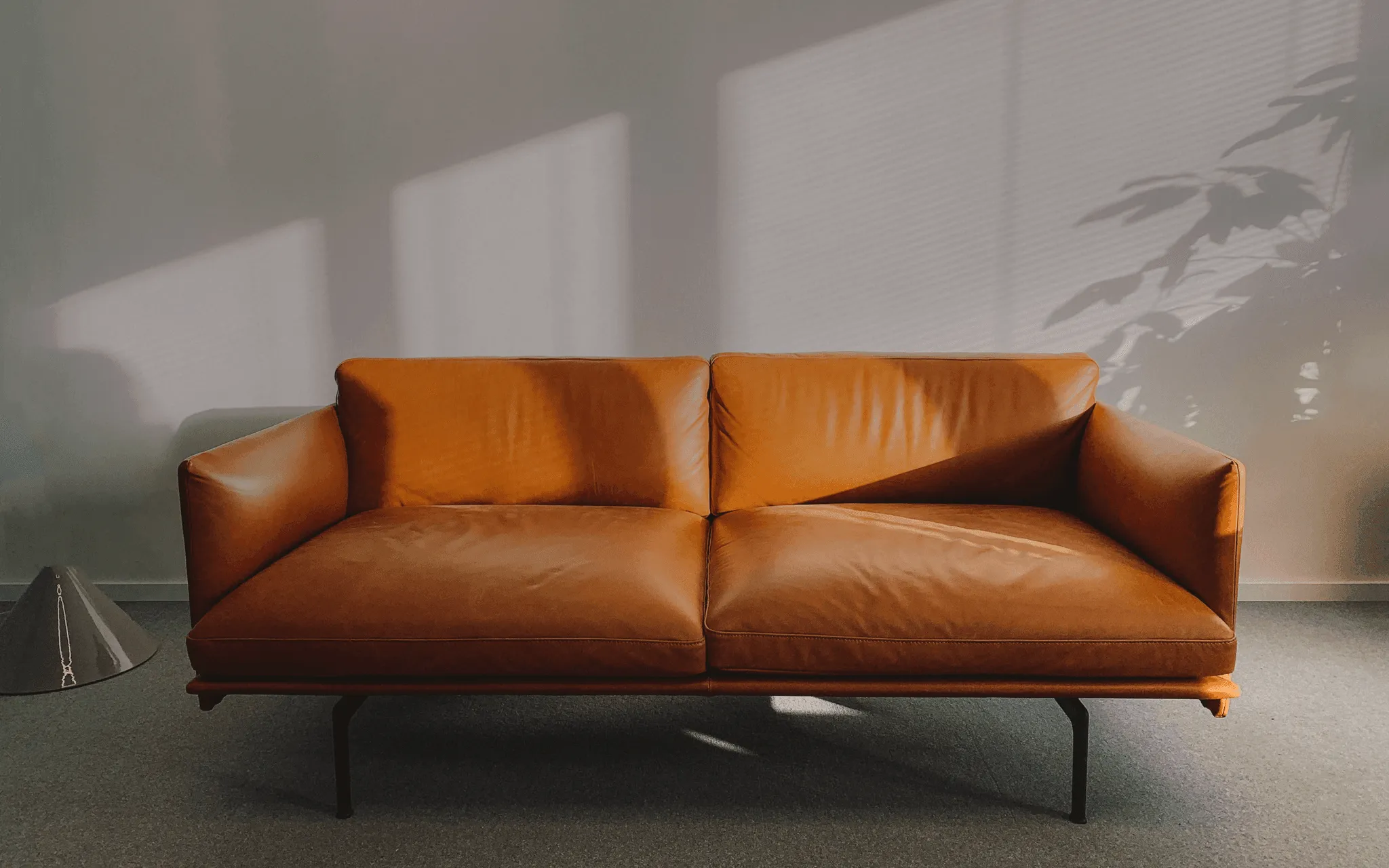 Diseñador de Interiores